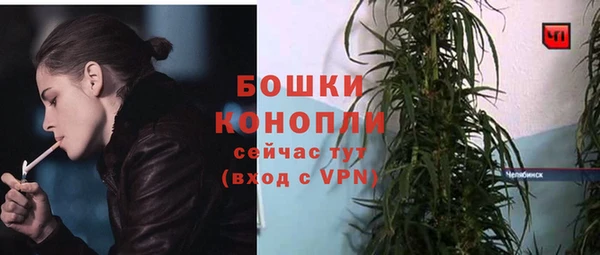 2c-b Белокуриха