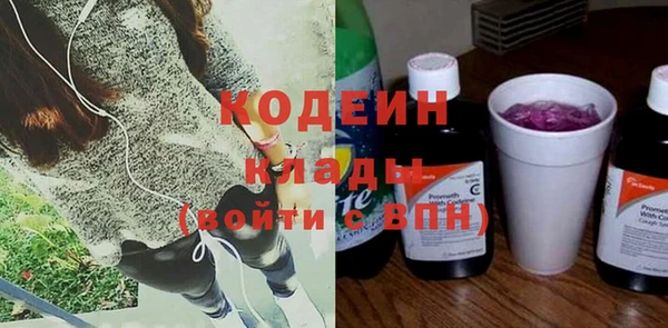 прущие грибы Богородицк