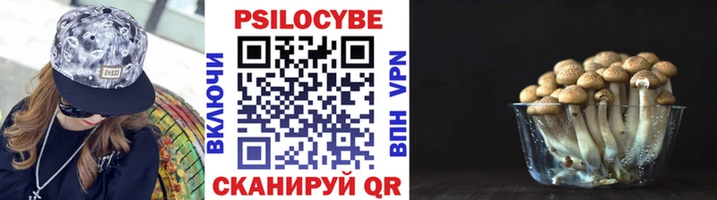 Галлюциногенные грибы мухоморы  Горно-Алтайск 