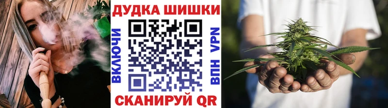 Канабис план Горно-Алтайск